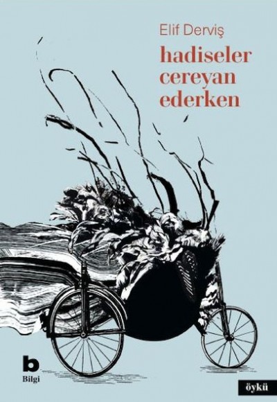 Hadiseler Cereyan Ederken