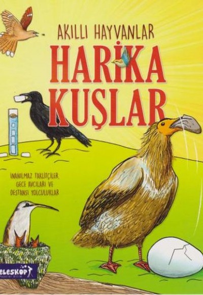 Akıllı Hayvanlar Harika Kuşlar