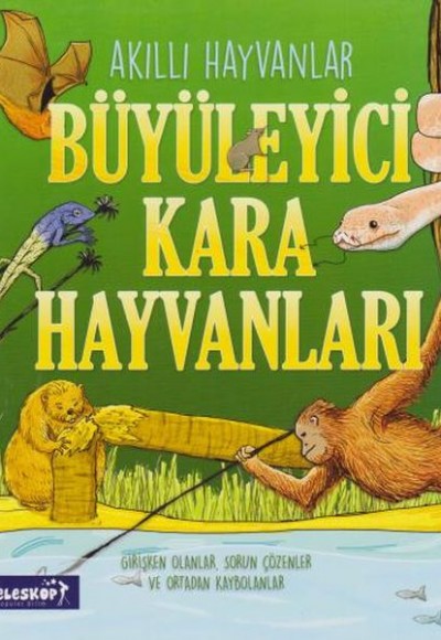 Akıllı Hayvanlar Büyüleyici Kara Hayvanları