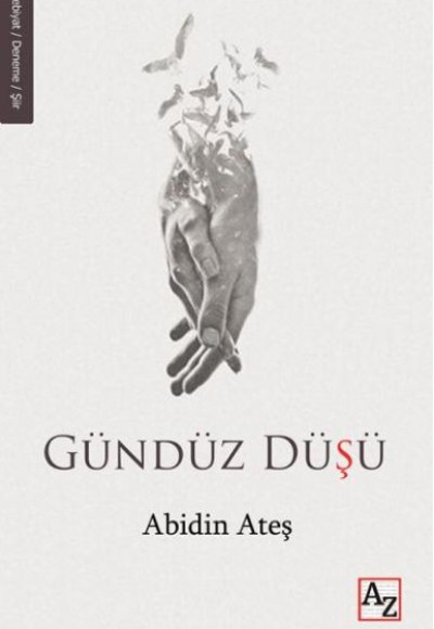 Gündüz Düşü