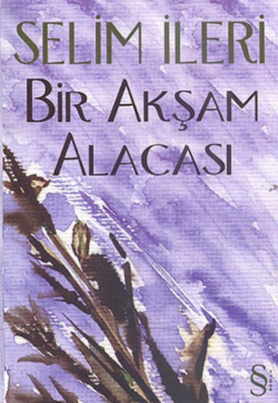 Bir Akşam Alacası