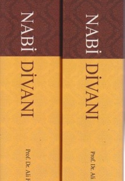 Nabi Divanı (2 Kitap Takım)