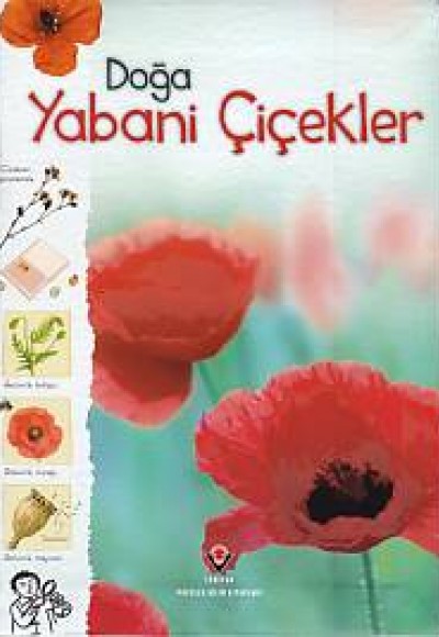 Doğa - Yabani Çiçekler