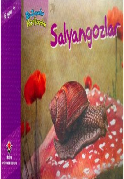 Bir Zamanlar Korkardım - Salyangozlar