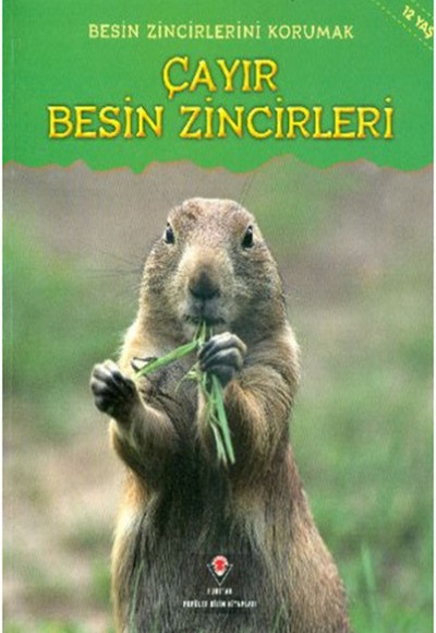 Çayır Besin Zincirleri