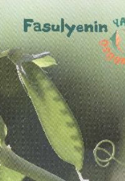 Fasulyenin Yaşam Döngüsü