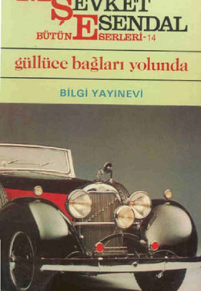 Güllüce Bağları Yolunda