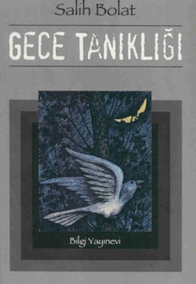 Gece Tanıklığı