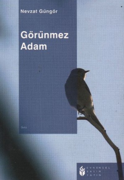 Görünmez Adam