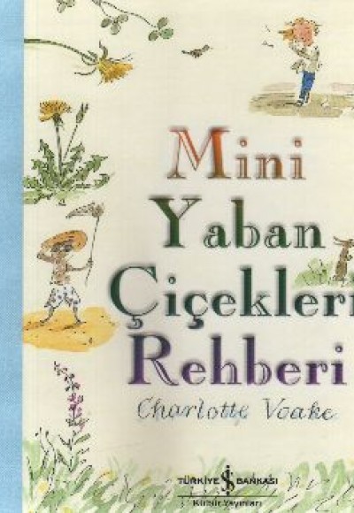 Mini Yaban Çiçekleri Rehberi