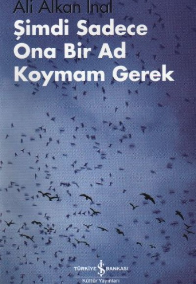 Şimdi Sadece Ona Bir Ad Koymam Gerek